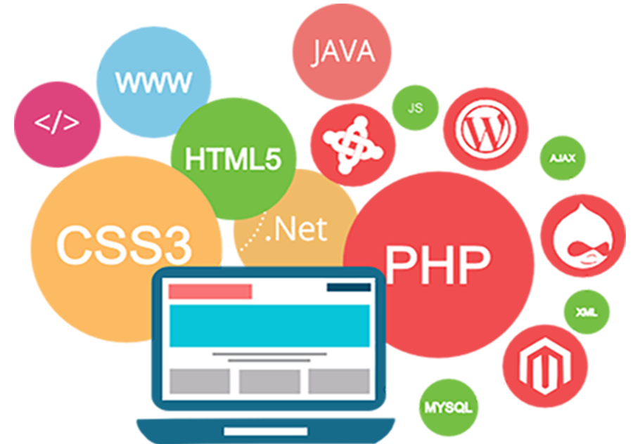 software & data migration